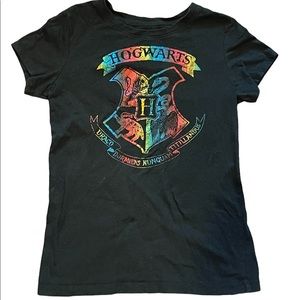 Harry Potter Hogwarts Rainbow Logo